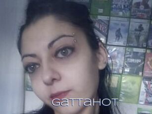 Gattahot