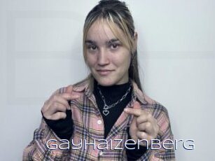Gayhaizenberg
