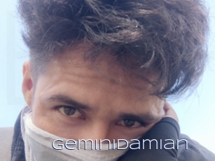 Geminidamian
