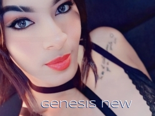 genesis_new Blue Hot