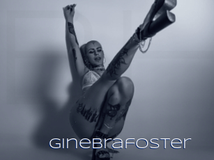 Ginebrafoster
