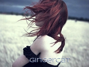 Gingercat