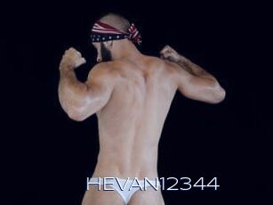 HEVAN12344
