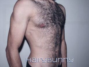HairyBunny