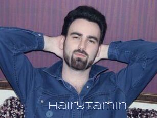 HairyTamin