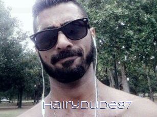Hairydude87