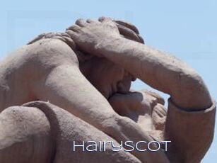 Hairyscot