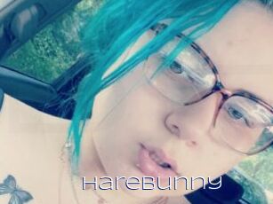 HareBunny