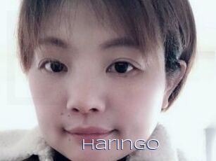 Haringo