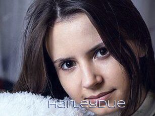 Harley_Due