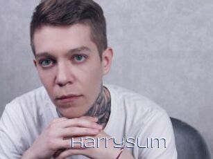 HarrySlim