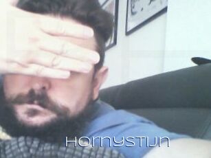Hornystijn