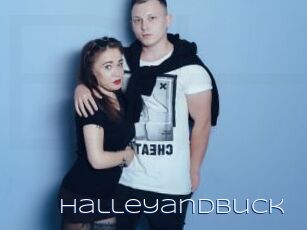 Halleyandbuck