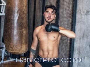 Hamerprotector
