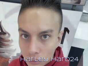Harley_hard24