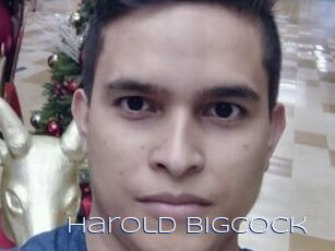 Harold_bigcock