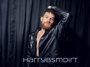 Harrybsmdirt