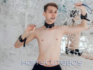 Harrycuteboy