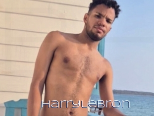 Harrylebron
