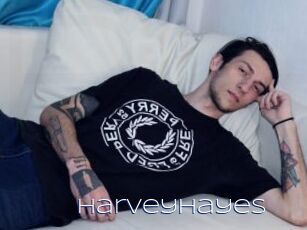 Harveyhayes