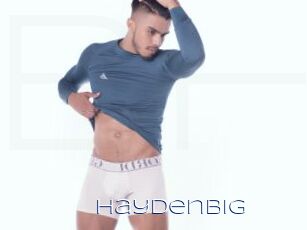 Haydenbig