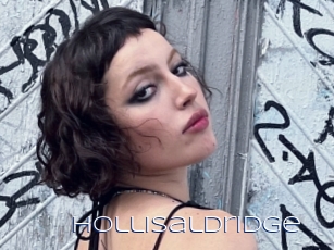 Hollisaldridge