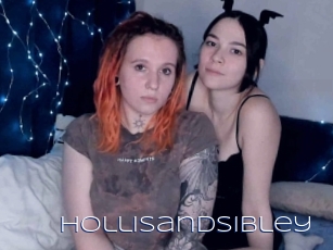 Hollisandsibley