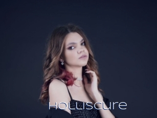 Holliscure