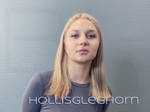 Hollisgleghorn
