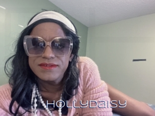 Hollydaisy