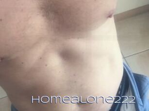 Homealone222