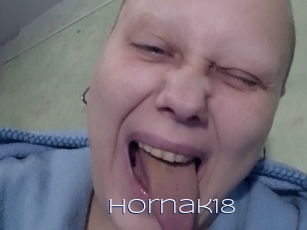 Hornak18