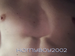 Hornyboy2002
