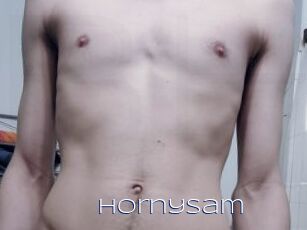 Hornysam