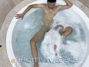 Hornywildboy