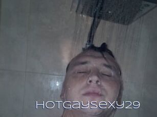 Hotgaysexy29