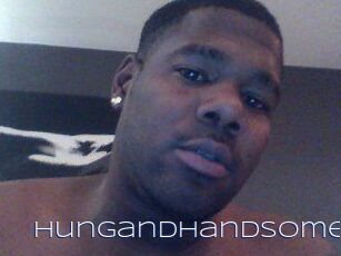 Hungandhandsome