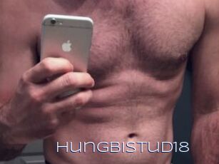 Hungbistud18