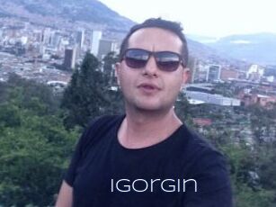 IgorGin