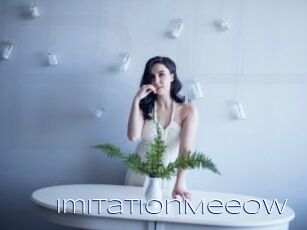 ImitationMeeow