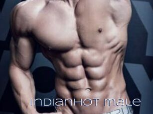 Indianhot_male
