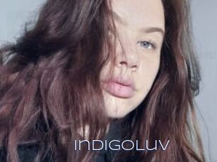 IndigoLuv