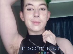 InsomniCat Blue Hot