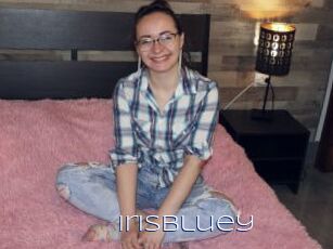 IrisBluey