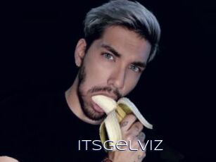 Itsgelviz