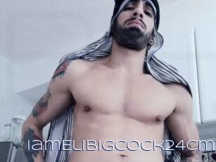 IamElibigcock24cm
