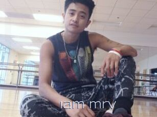 Iam_mrv