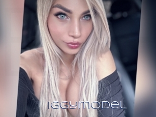 Iggymodel