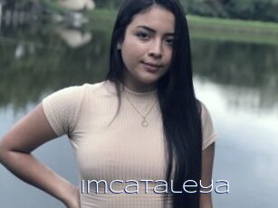 Imcataleya