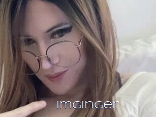 Imginger
